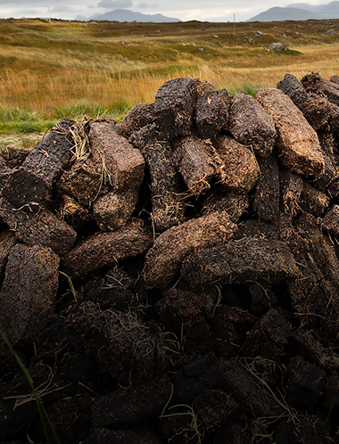 Peated malt intensity