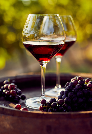 Sleek wine glass shape