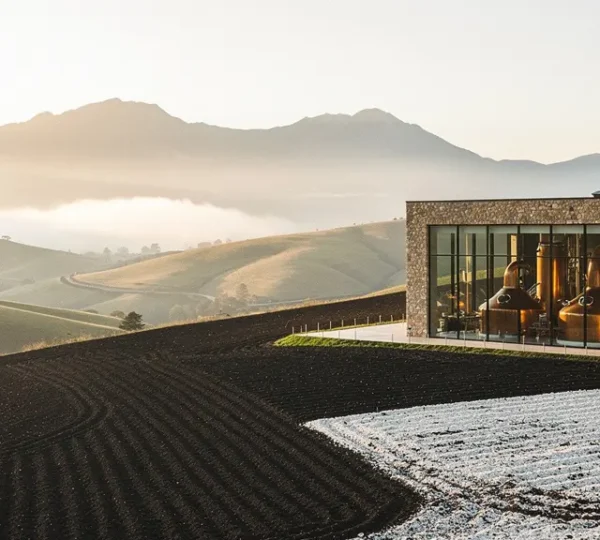 Artisanal distillery landscape showing the connection between land and spirits